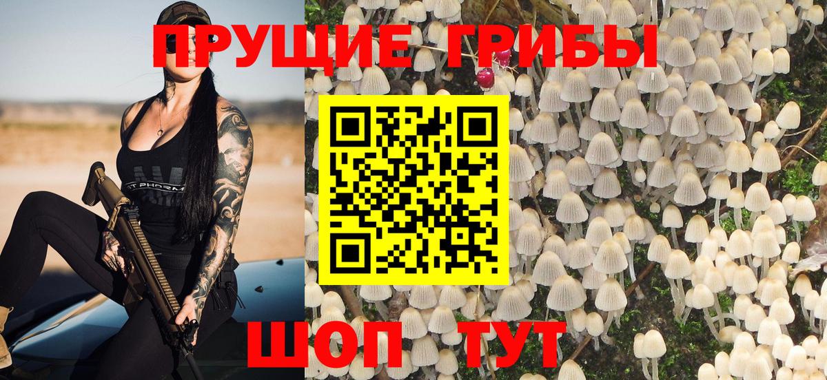 Псилоцибиновые грибы мухоморы  Вход с VPN  Нарткала  Галлюциногенные грибы Magic Shrooms 