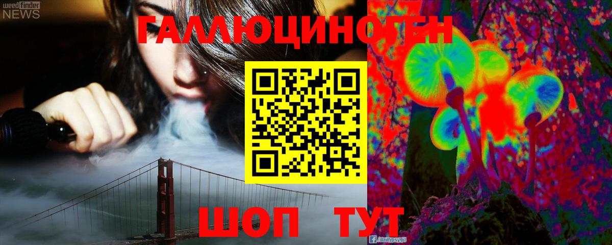 Галлюциногенные грибы Psilocybe Нарткала